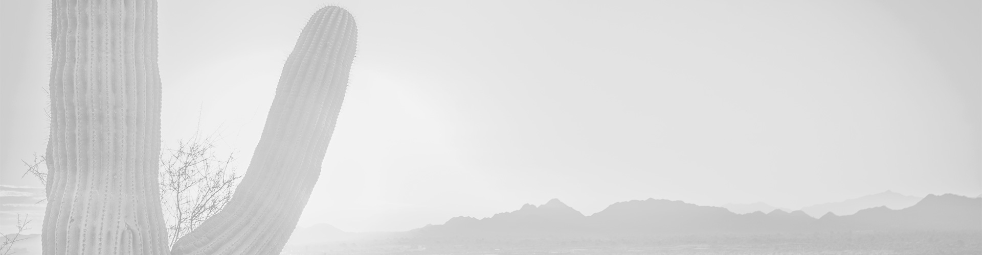 Paving Services In Mesa AZ
