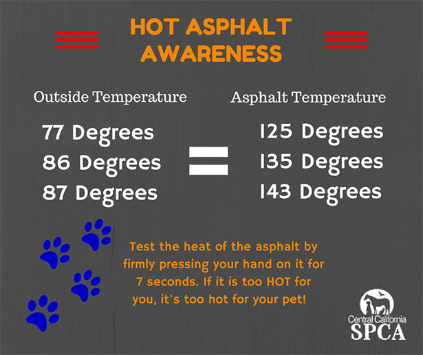 Phoenix Summers Mean Hot Asphalt - Keep You Pets Off Asphalt